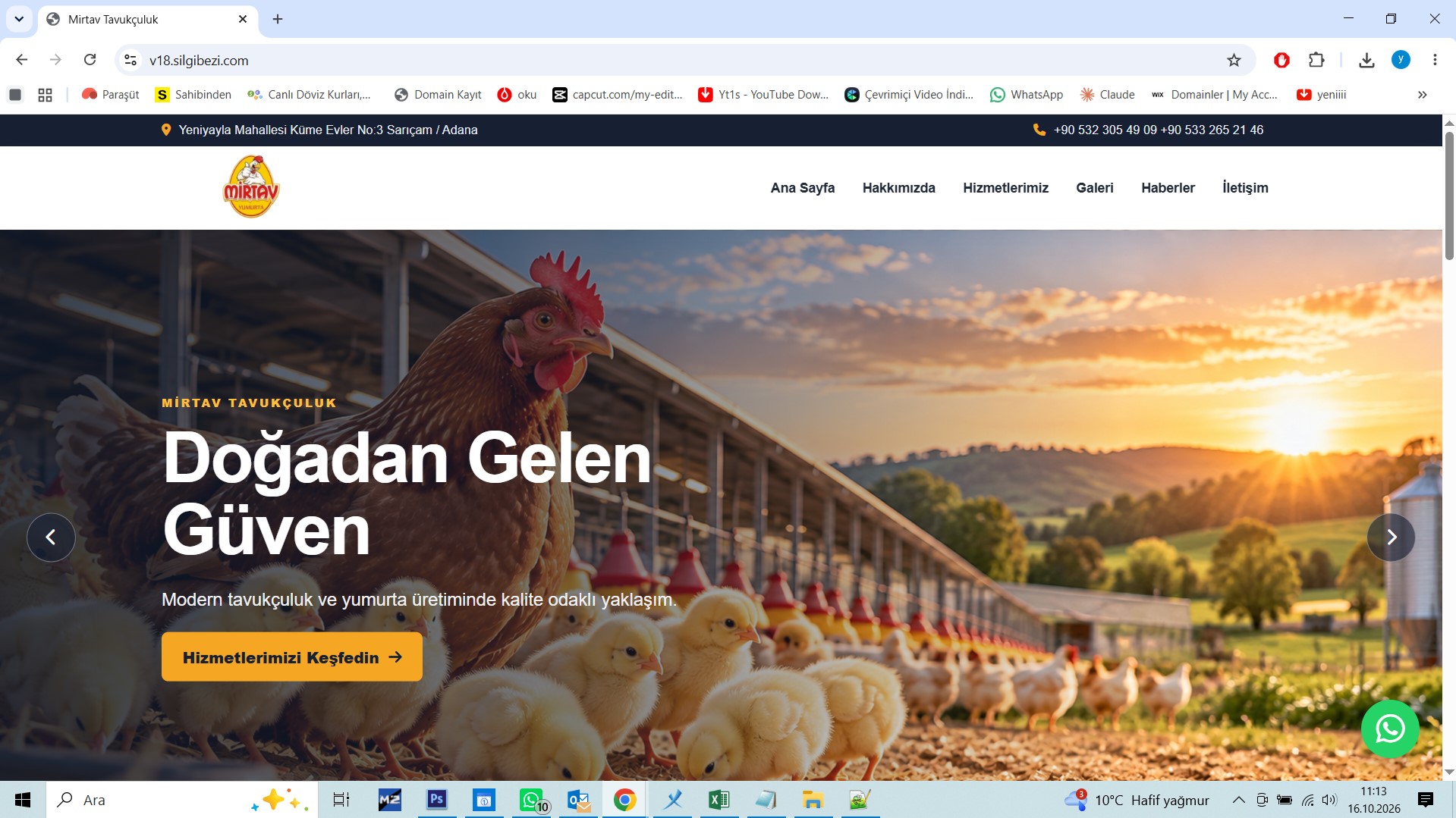 V19 Tavukçuluk Web Tasarım